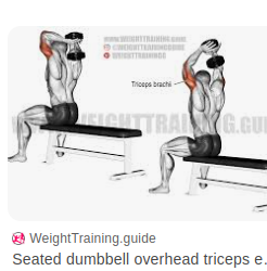 Dumbbell Overhead Ext